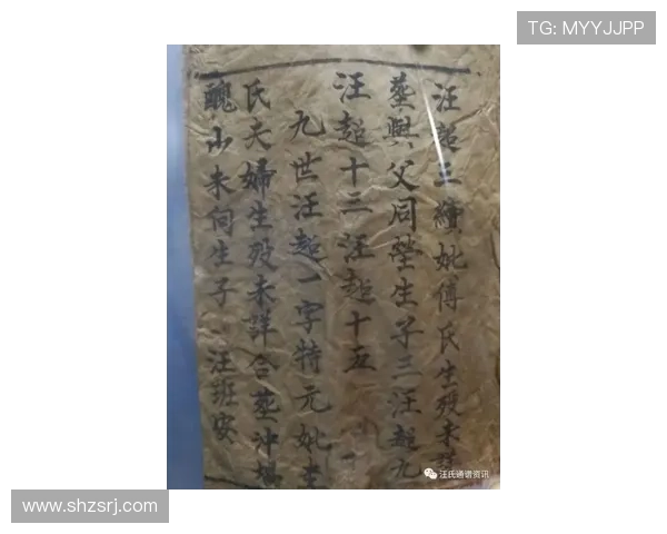 宸惧讣閫愭ⅵ钂叉渤鐣旓紒2025 娌堥槼娌堝寳濂冲瓙鍗婇┈鐕冩儏鏀跺畼